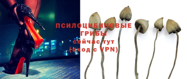 MDMA Premium VHQ Белокуриха
