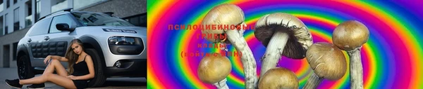 MDMA Premium VHQ Белокуриха